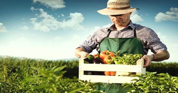 Agricultura Orgânica