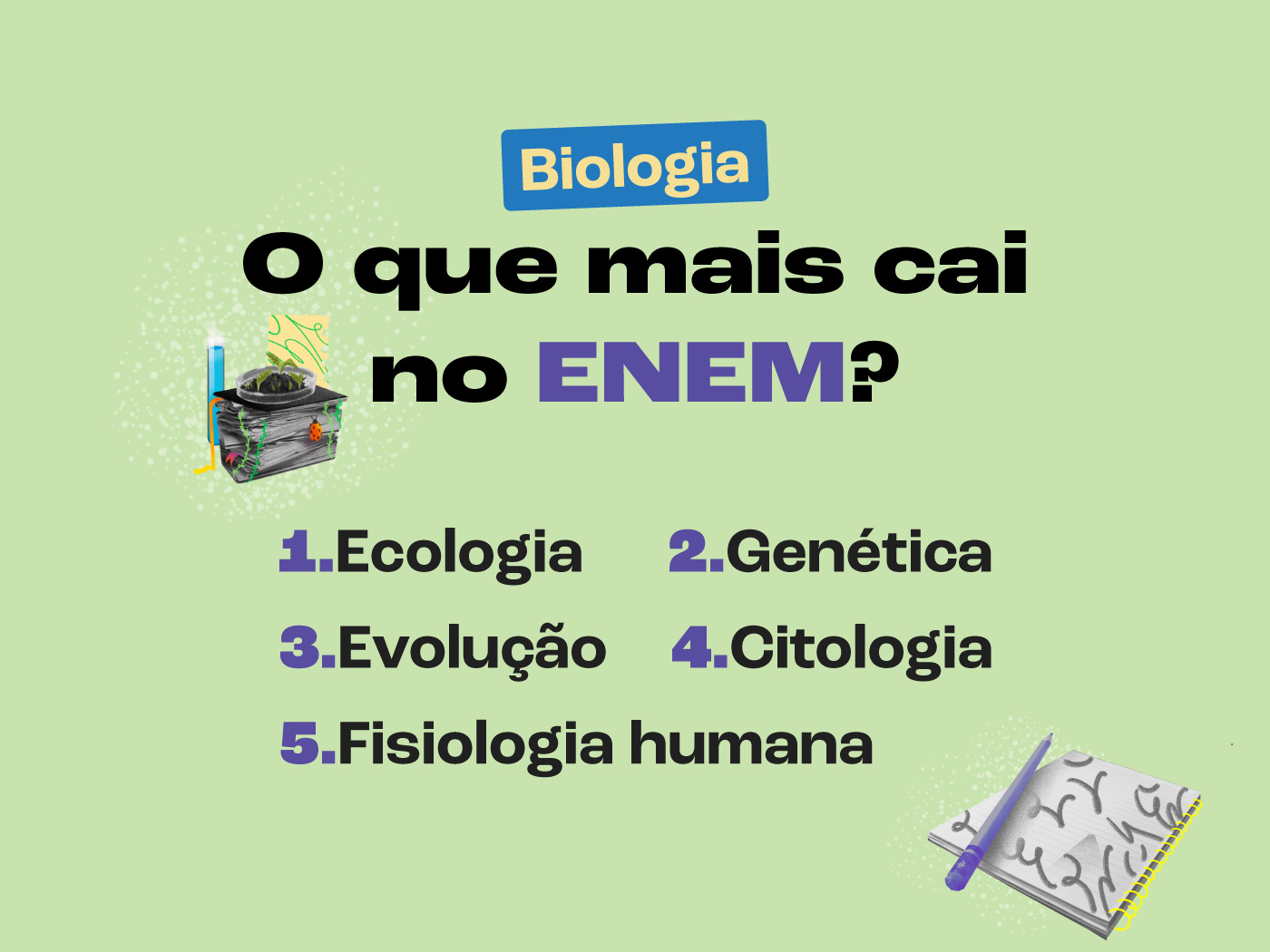 Biologia no Enem: os assuntos que mais caem (2025)