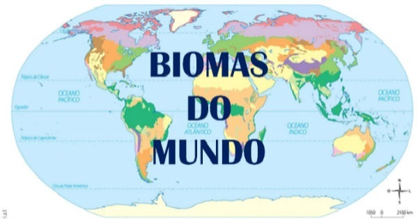 Biomas do Mundo