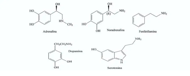 Representação de neurotransmissores - questão ENEM 2014