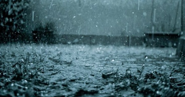 Chuva ácida: como ocorre, causas e consequências