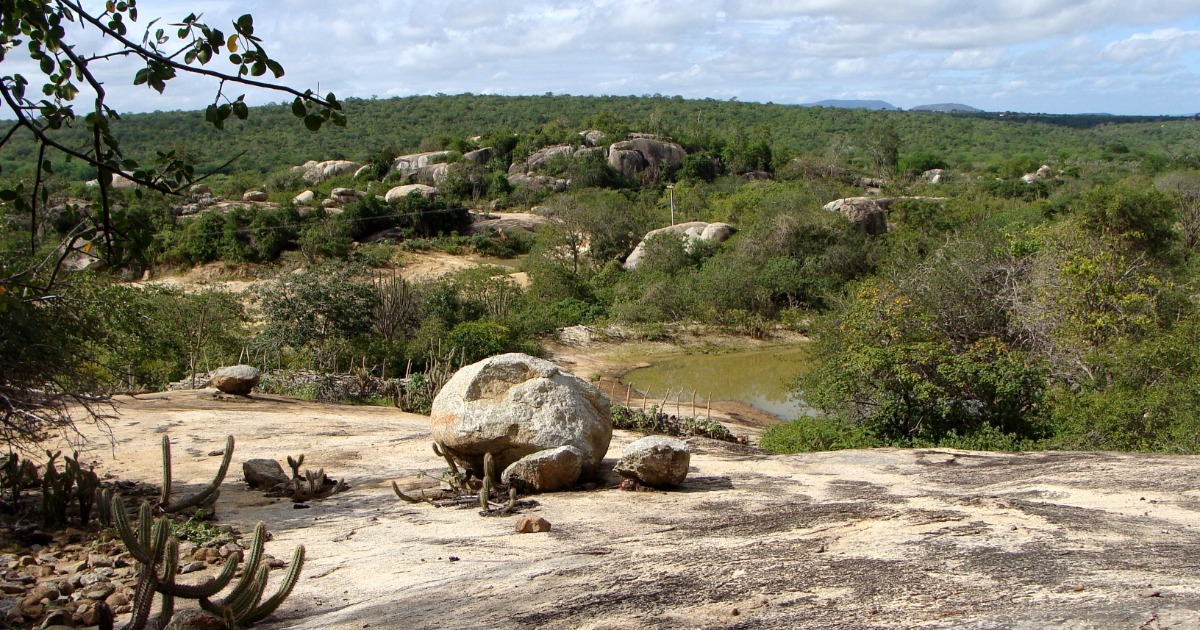 Todos os domínios morfoclimáticos do Brasil explicados