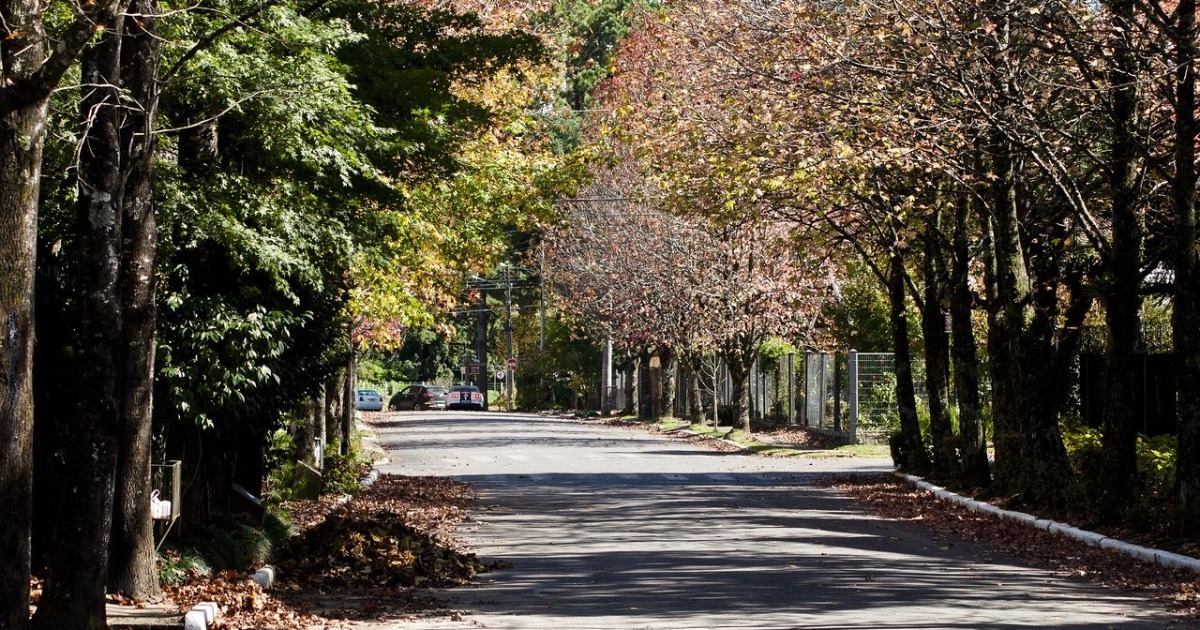 Outono: o que é, quando começa e quais são suas características