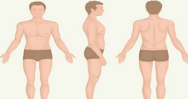 Partes do Corpo Humano